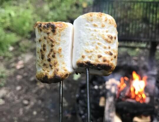 Vegan marshmallows over campfire