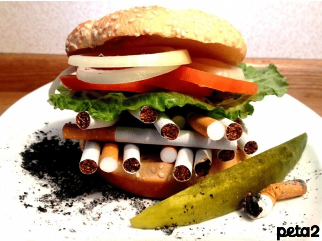 Burger bun filled with cigarettes
