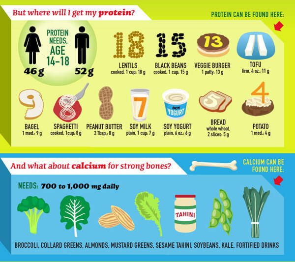 Graphic that details vegan protein options including lentils, black beans, tofu, and vegan calcium sources including broccoli, collard greens, and almonds.