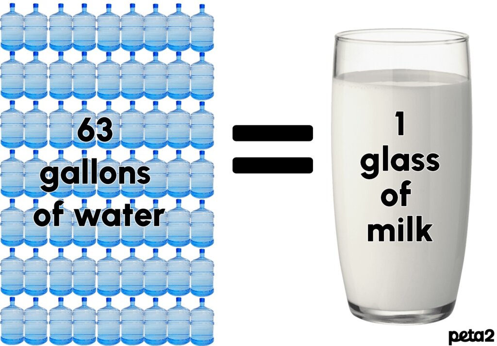Photo of 63 water gallons representing the amount of water usage that is used to produce 1 glass of milk