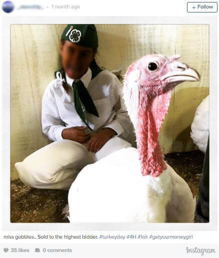 4H student with turkey