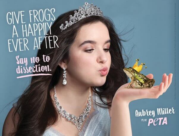 Aubrey Miller anti-dissection ad