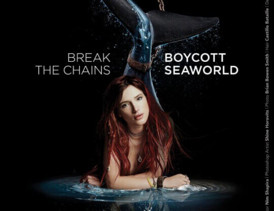 Bella Thorne anti-SeaWorld ad
