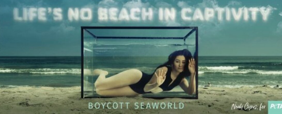 Noah Cyrus anti-SeaWorld ad