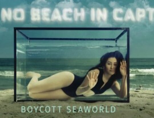 Noah Cyrus anti-SeaWorld ad