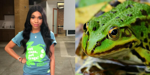Teala Dunn Frog Collage