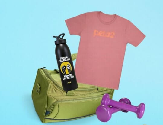 Gym bag and weights with a peta2 logo shirt and a water bottle with an "Animal Liberation" message