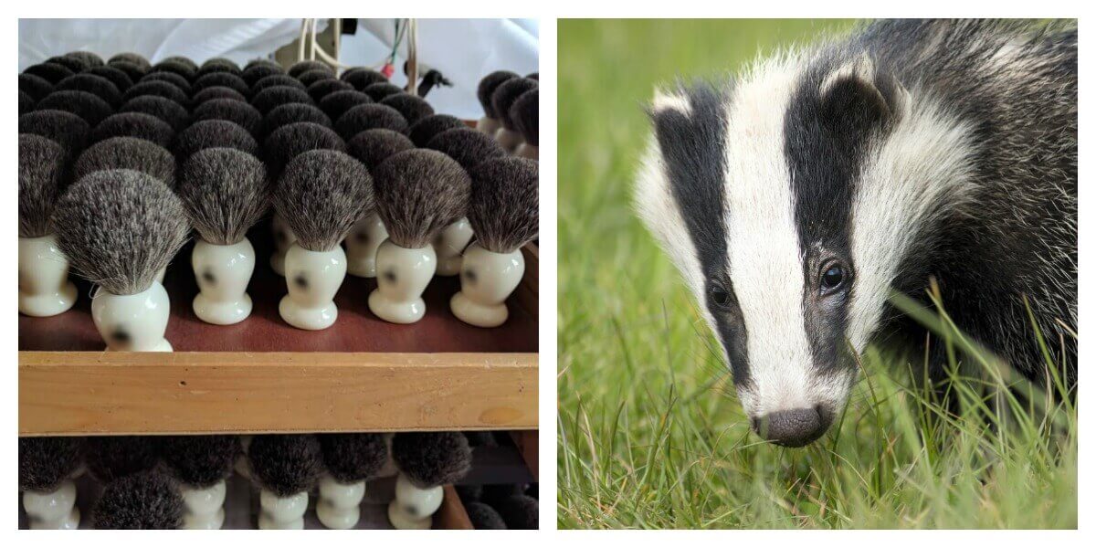 cruelty-free brushes
