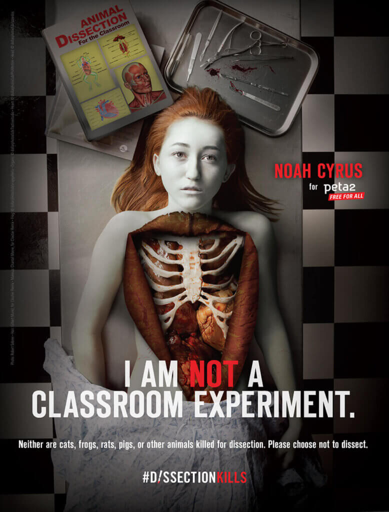 Noah Cyrus dissection 1