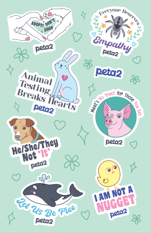 free animal rights stickers!