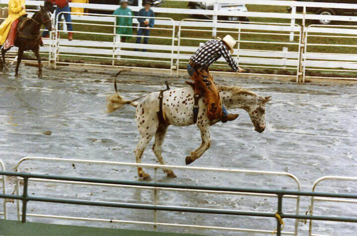 never go to a rodeo - here's why