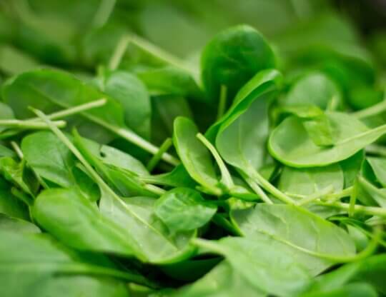 Spinach