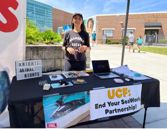 ucf student group seaworld tabling