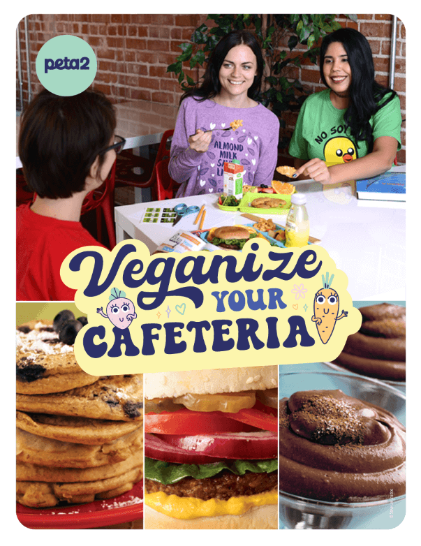 guide to veganizing your cafeteria