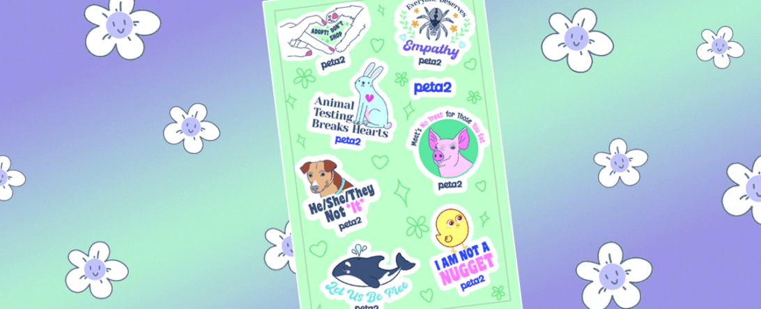 animal rights stickers