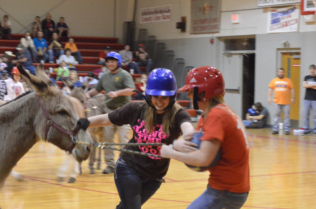 donkey basketball 1