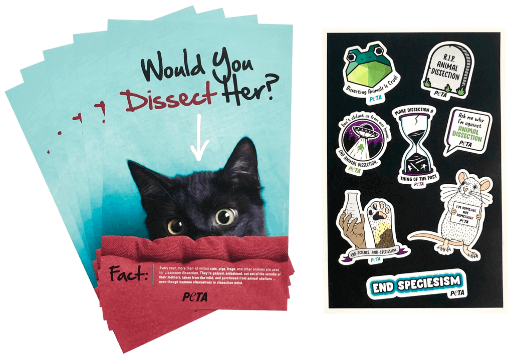 Image of anti-dissection leaflets and sticker sheet