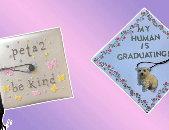 Graphic created by HH of the grad caps designed by peta2 and SOS interns
