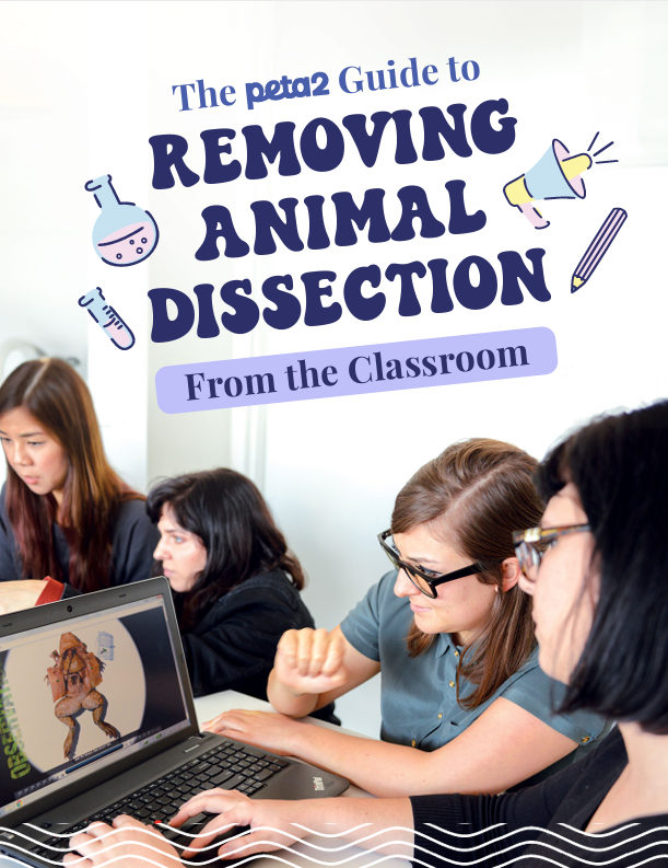 End animal dissection 2