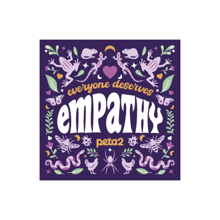 A purple magnet. It reads "Everyone deserves empathy" and features illustrations of animals