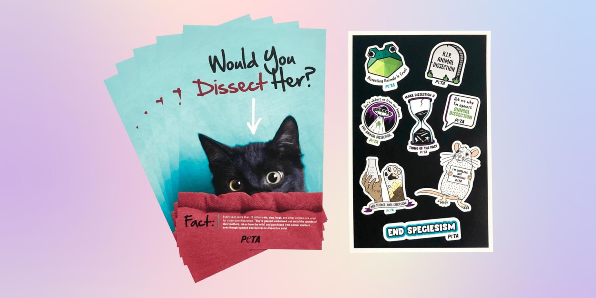 Image of anti-dissection leaflets and sticker sheet