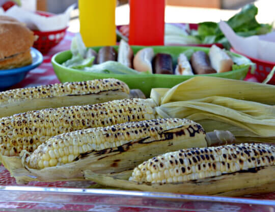 PETA-owned image of corn on the cob