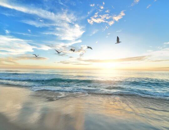 Image from Unsplash of a beach