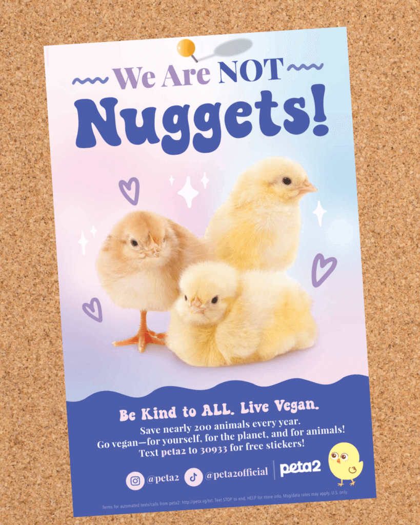 not nuggets 1