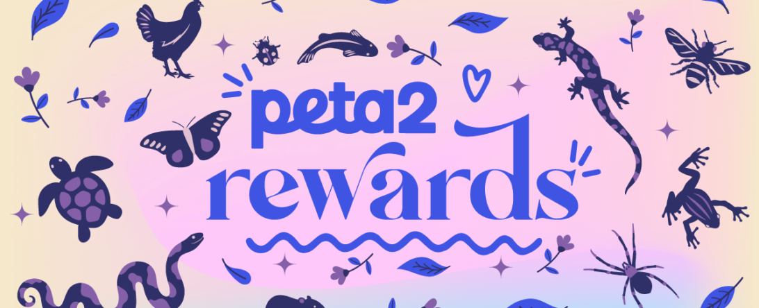 peta2 rewards featured image
