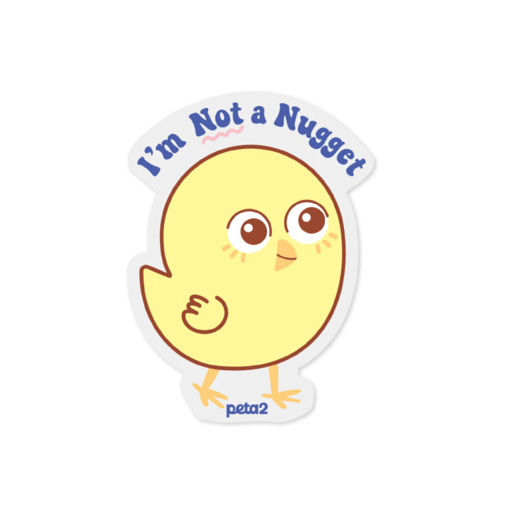A plush pillow shaped like Not A Nugget with text that reads "I'm not a nugget"