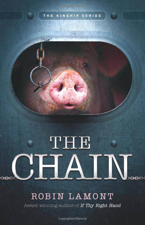 Image from Amazon website of "The Chain" book