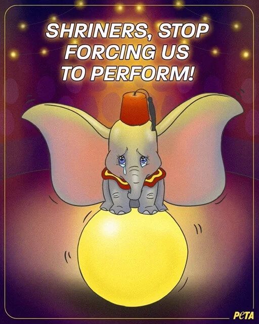 PETA-owned image of Dumbo Disney artwork