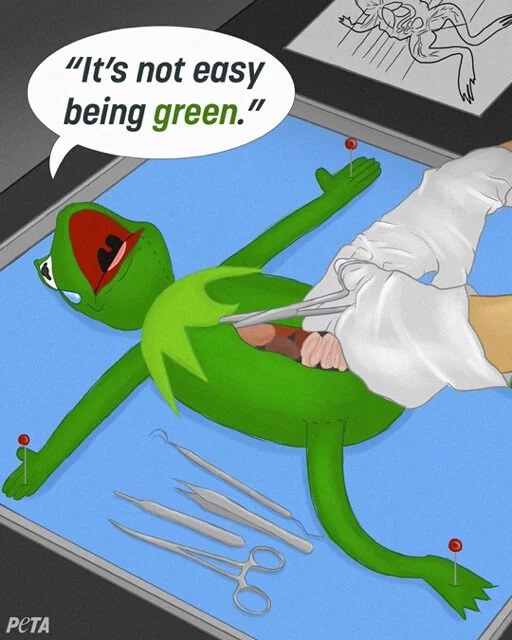 PETA-owned image of Kermit Disney artwork