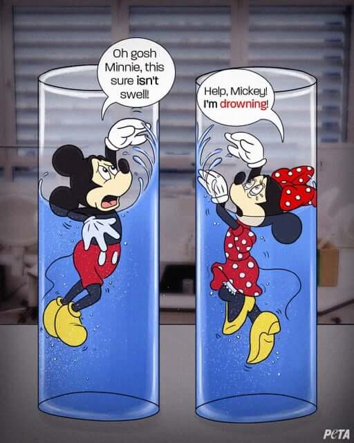 PETA-owned image of Mickey and Minnie mouse Disney artwork