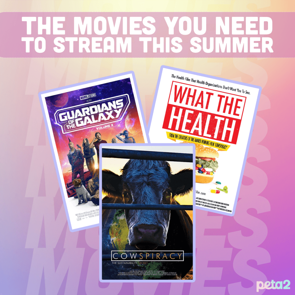 PETA-owned graphic created by Zach R of summer animal-friendly movies