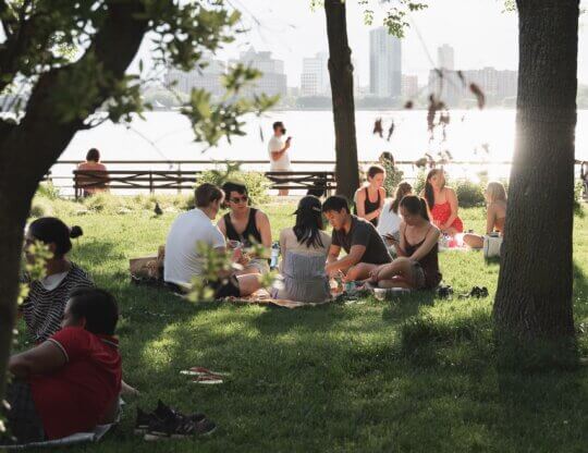 Image from Unsplash of a picnic