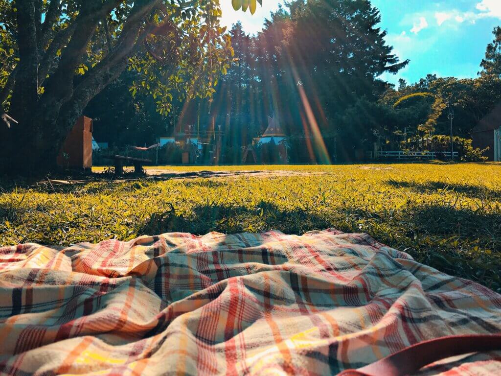 Image from Unsplash of a picnic blanket
