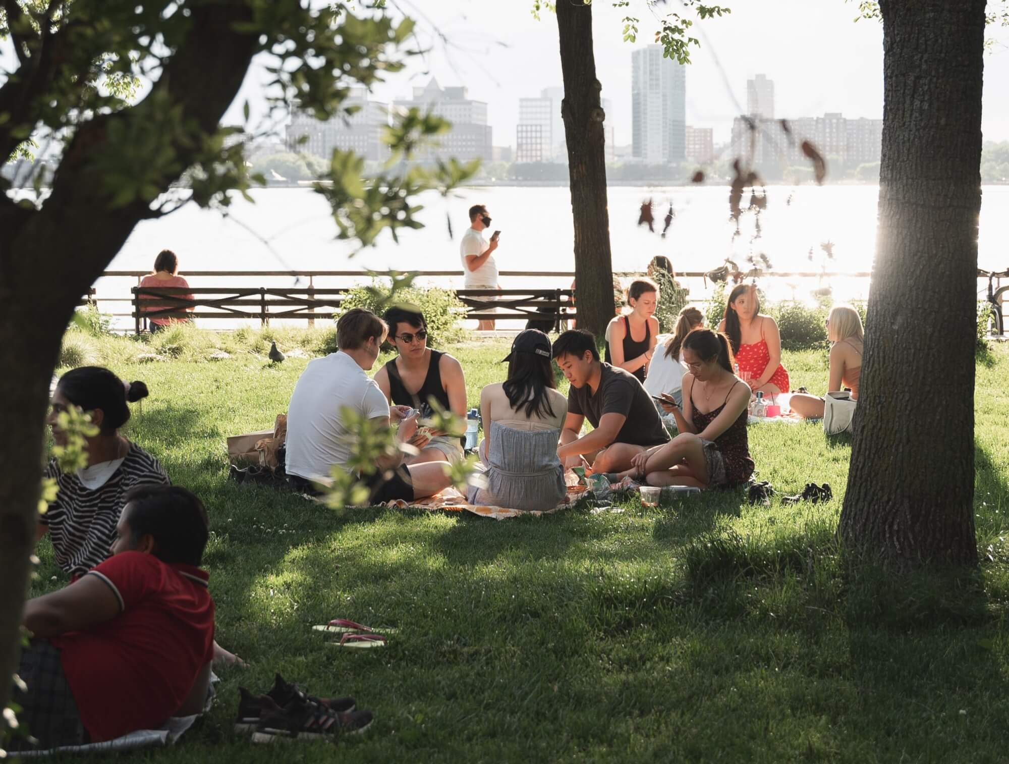 Image from Unsplash of a picnic