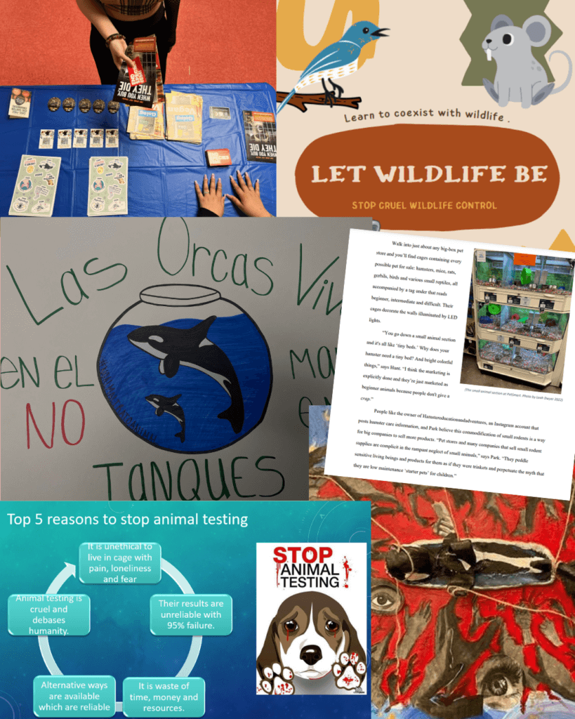 PETA-owned graphic created by HH of an animal rights project collage