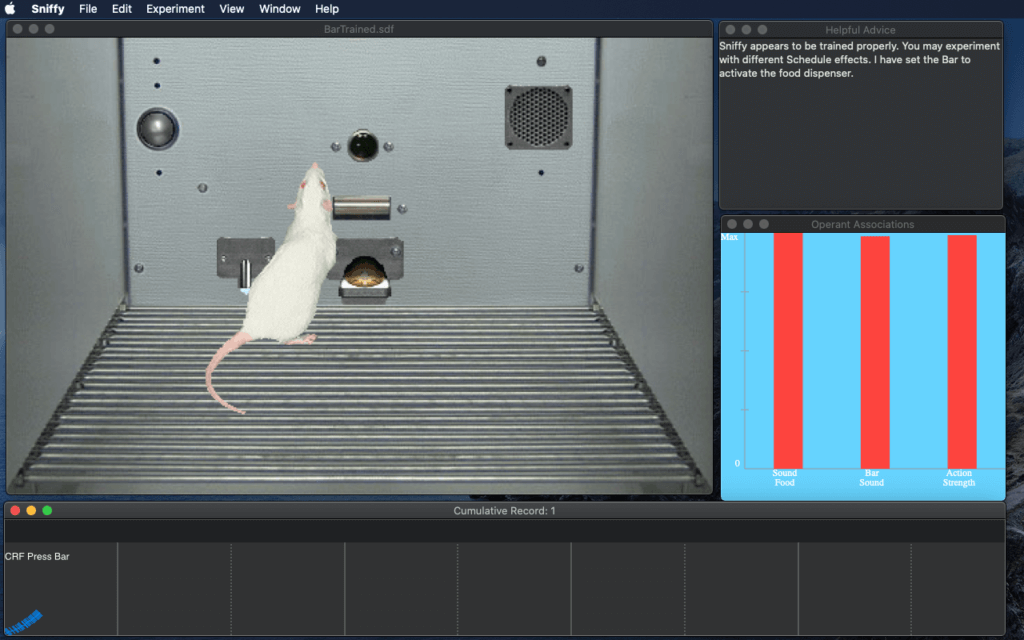 Image from Sniffy the Virtual Rat website of Sniffy the Virtual Rat