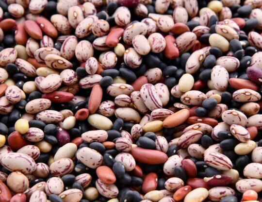 Image of beans from Unsplash