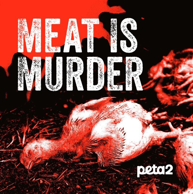 PETA-owned image of "Meat is Murder" sticker