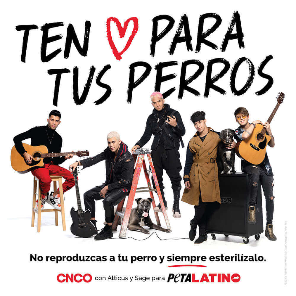 PETA-owned image of CNCO from https://www.petalatino.com/wp-content/uploads/PL_CNCO_SPA_2019_Ad_72.jpg