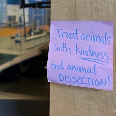 PETA-owned image of a dissection sticky note from Katharine H