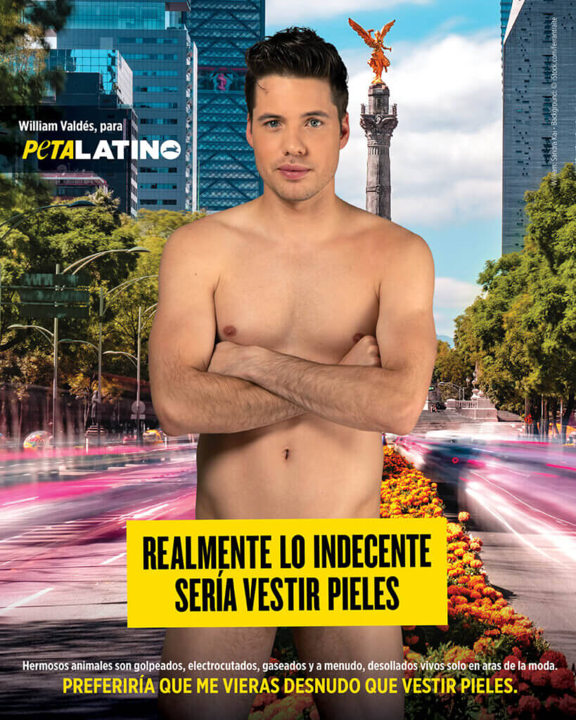 PETA-owned image of William Valdes from https://www.petalatino.com/wp-content/uploads/PL_William_Valdes_Ad_IG_1080x1350.jpg