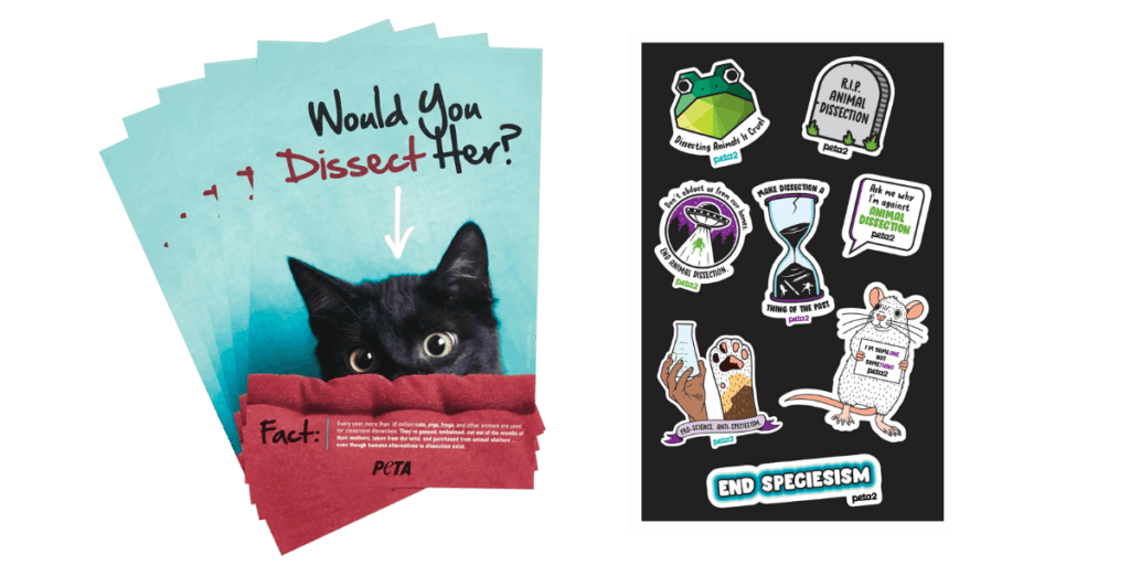 PETA-owned image of dissection leaflets and stickers created by HH