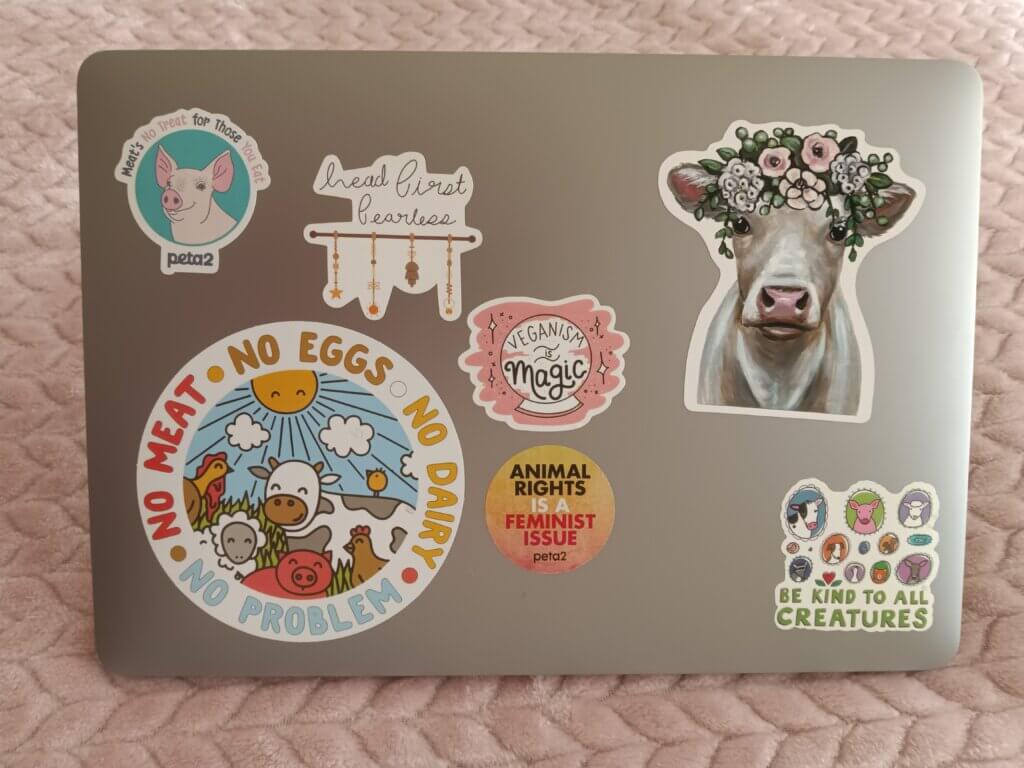 PETA-owned image of a laptop from Starlynn C