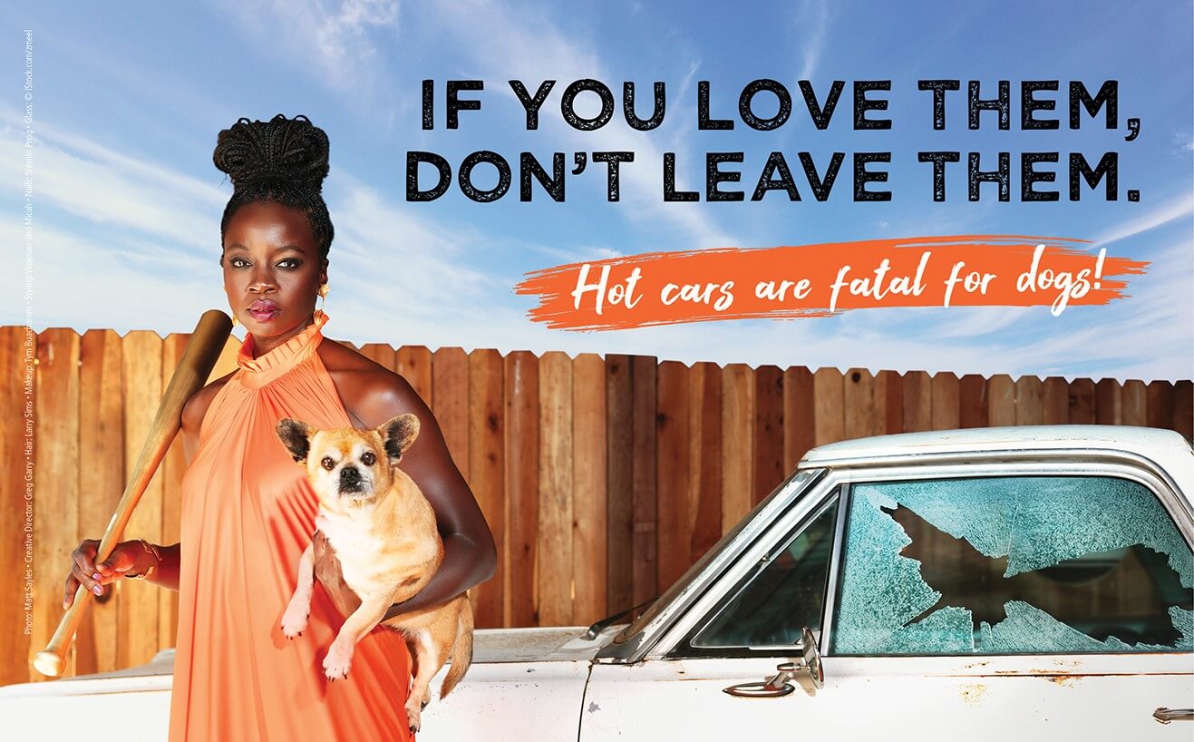 PETA-owned image of Danai Gurira from https://petafoundation.sharepoint.com/sites/US/FSAP/PROD/Shared%20Documents/Forms/AllItems.aspx?csf=1&web=1&e=CDZo4t&cid=3ba5eb06%2D3a43%2D4ae3%2Db995%2Dcdbd1e60f6b4&FolderCTID=0x012000B850EC8641484A4B95E3A6ABCE6A6EDC&id=%2Fsites%2FUS%2FFSAP%2FPROD%2FShared%20Documents%2FFINAL%20FILES%2FFINAL%20ADS%2FCELEB%2DJPGSOnly%2FCID%20and%20COMP%20ANIMAL%2FDanai%20Gurira%20Dogs%20in%20Hot%20Cars%20Ads%202023%2Fpeta2%2FFull%20Page%20Horizontal%20MAIN%20VERSION%2Fp2%5FDanai%5FGurira%5FFP%5FHoriz%5F300%2Ejpg&viewid=35da3056%2D619b%2D4aab%2D9529%2D395d3ca193b6&parent=%2Fsites%2FUS%2FFSAP%2FPROD%2FShared%20Documents%2FFINAL%20FILES%2FFINAL%20ADS%2FCELEB%2DJPGSOnly%2FCID%20and%20COMP%20ANIMAL%2FDanai%20Gurira%20Dogs%20in%20Hot%20Cars%20Ads%202023%2Fpeta2%2FFull%20Page%20Horizontal%20MAIN%20VERSION