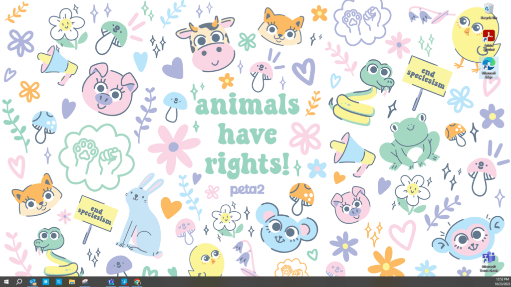PETA-owned image of desktop wallpaper example from Bridget D
