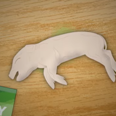 PETA-owned screenshot of 'Dissection in Reverse' from https://www.youtube.com/watch?v=eDHElqPdzX4